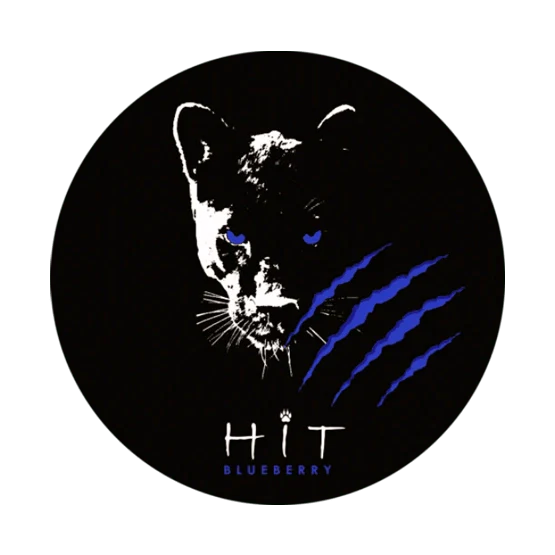 hit blueberry - 20mg/g nicotine pouches