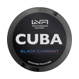 cuba black currant nicotine pouches