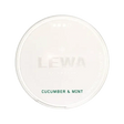 lewa cucumber mint nicotine pouches