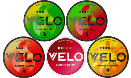 velo tropical bundle nicotine pouches