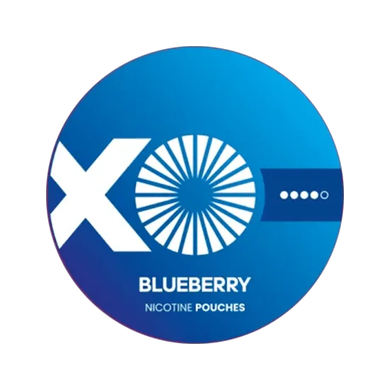 xo blueberry nicotine pouches