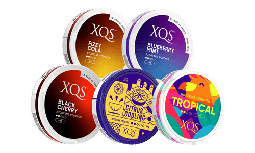 xqs 4mg light bundle nicotine pouches