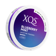 xqs blueberry mint - 8mg (strong) nicotine pouches